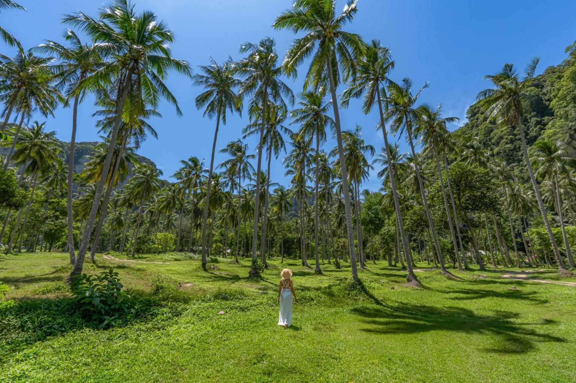 Tinidee Hideaway Tonsai Beach Krabi - Sha Extra Plus Buitenkant foto